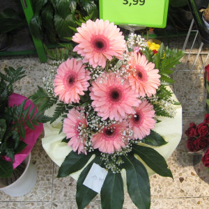frische Blumen