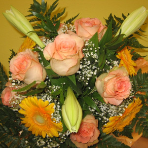 frische Blumen