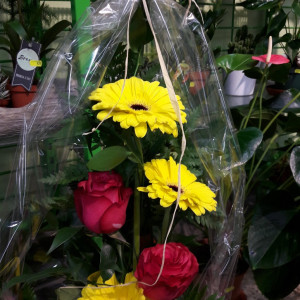 frische Blumen