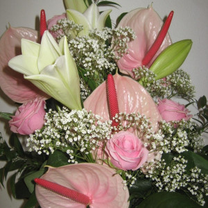 frische Blumen