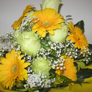 frische Blumen