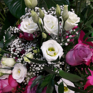 frische Blumen