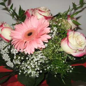 frische Blumen