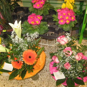 frische Blumen