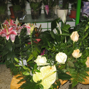 frische Blumen