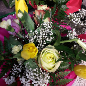 frische Blumen