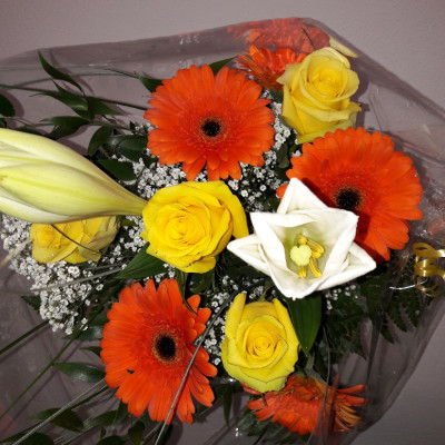 frische Blumen