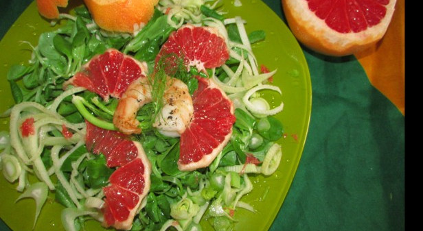 Sommerlicher Vogerl-Fenchel-Grapefruitsalat mit Riesengarnelen 