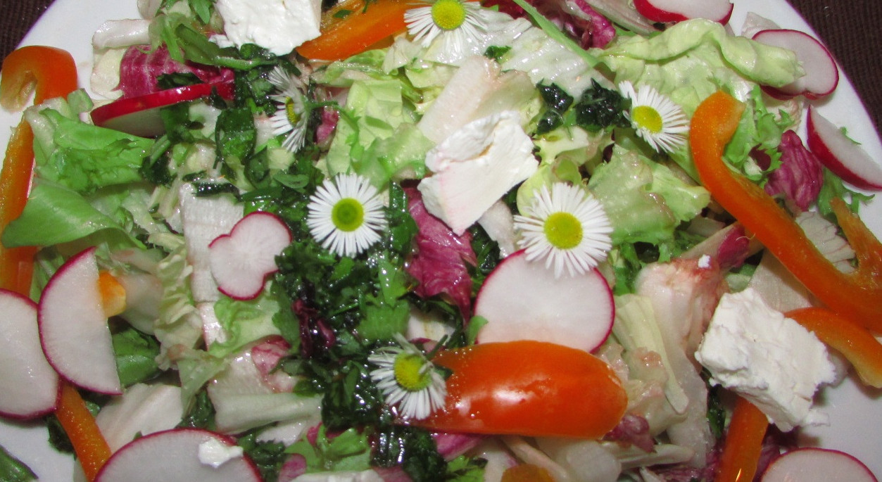 Salat "bunte Sommerwiesn" mit Gänseblümchen, Feta und Wildkräuteressig