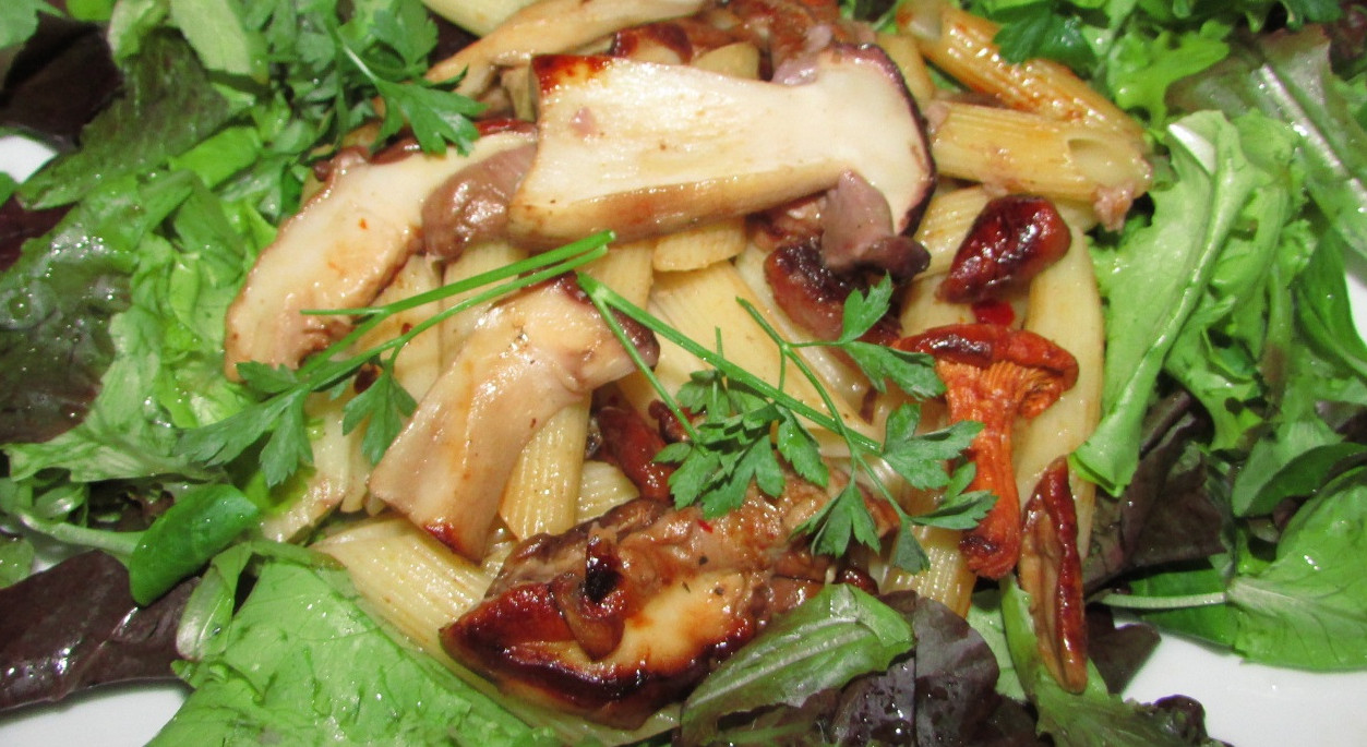 Nudelsalat "Schwammerland" im Salatnest