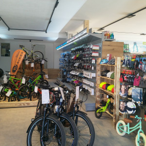 Riedls Bike Store