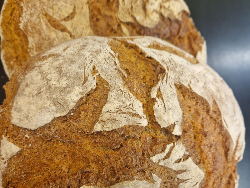 Abbildung: 100% BROT